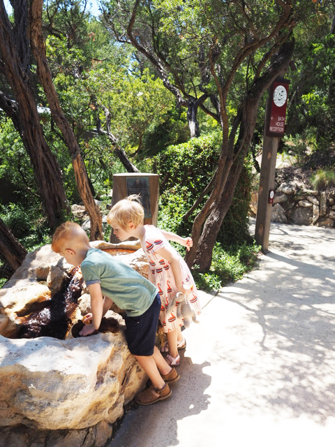 Photo credit: @kateflatman for @busycitykids