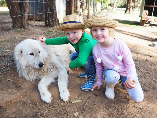 Photo credit: @kateflatman for @busycitykids