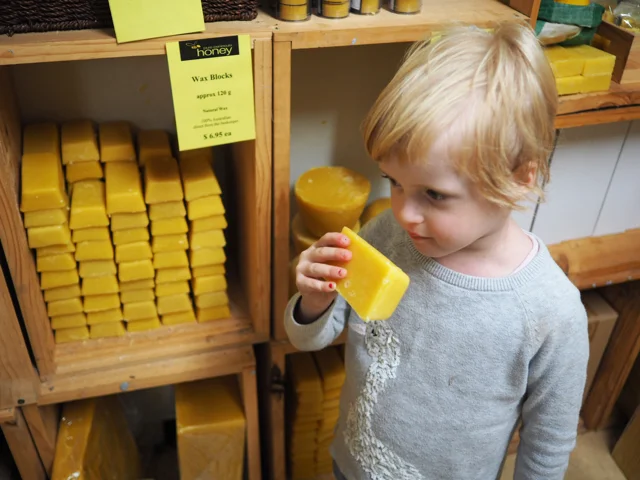 Photo credit: @kateflatman for @busycitykids