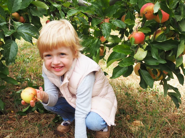 Photo credit: @kateflatman for @busycitykids