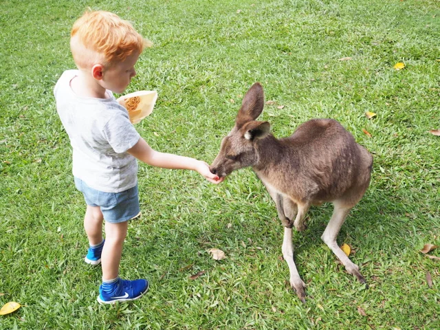 Photo credit: @kateflatman for @busycitykids