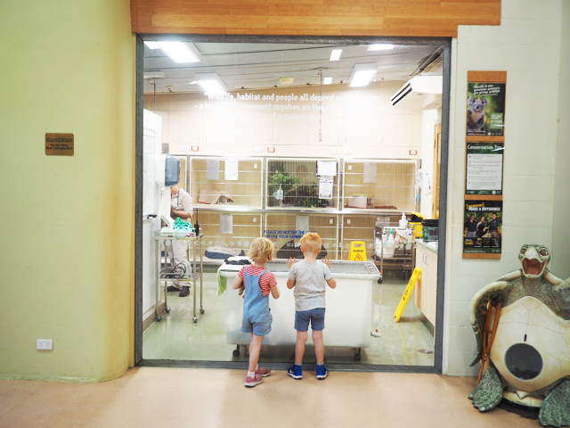 Photo credit: @kateflatman for @busycitykids