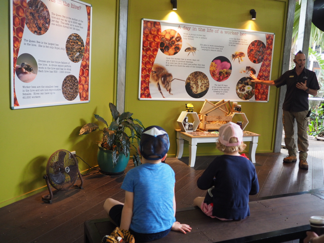 Photo credit: @kateflatman for @busycitykids