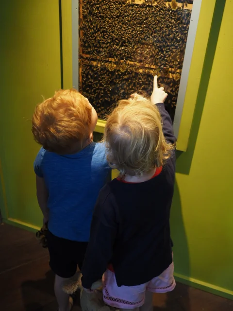 Photo credit: @kateflatman for @busycitykids