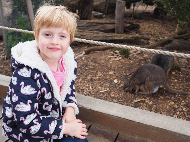 Photo credit: @kateflatman for @busycitykids