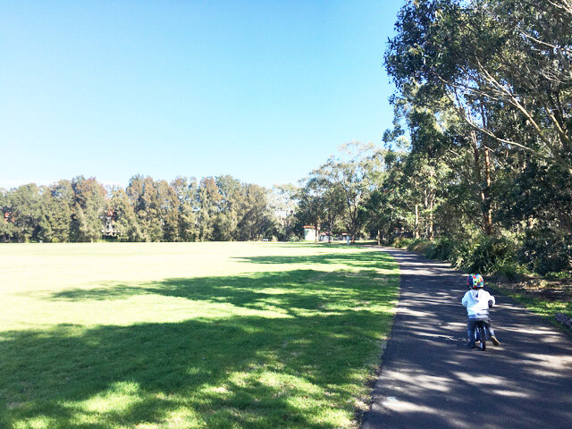 Passmore Reserve Manly Vale - Photo Credit: @busycitykids
