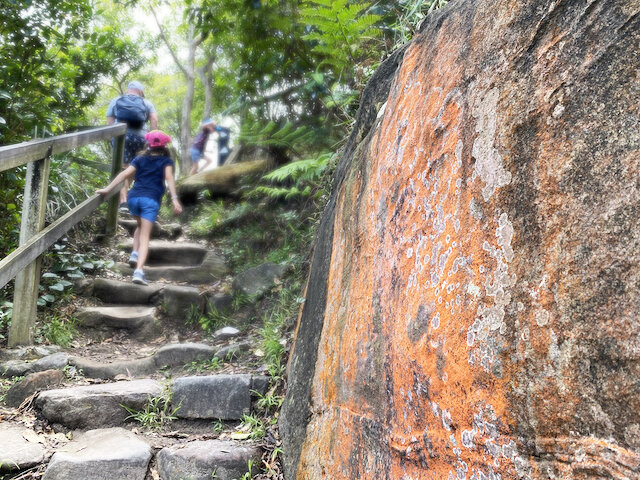 Trail near Castle Rock Beach - Photo Credit: @busycitykids