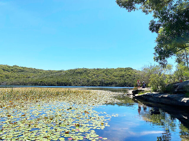 Manly Dam - Photo Credit: @busycitykids