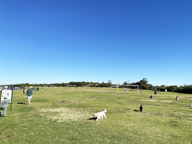 balgowlahtotaniapark03.jpeg