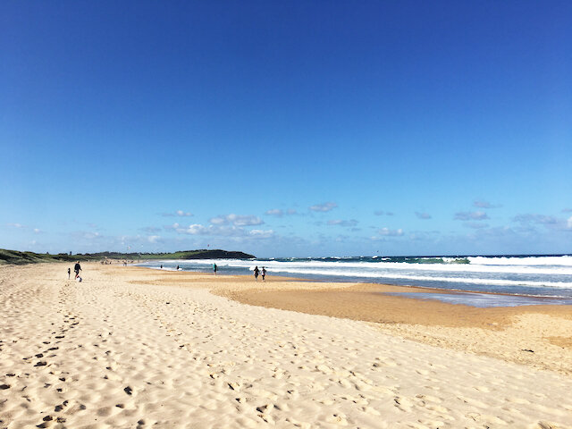 Dee Why Beach - Photo Credit: @busycitykids