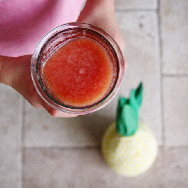 Breville - Boss To Go Plus - 2016