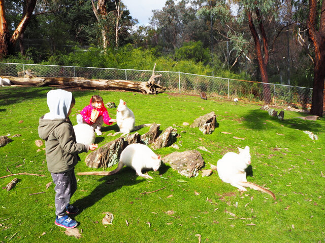 Gorge Wildlife Park