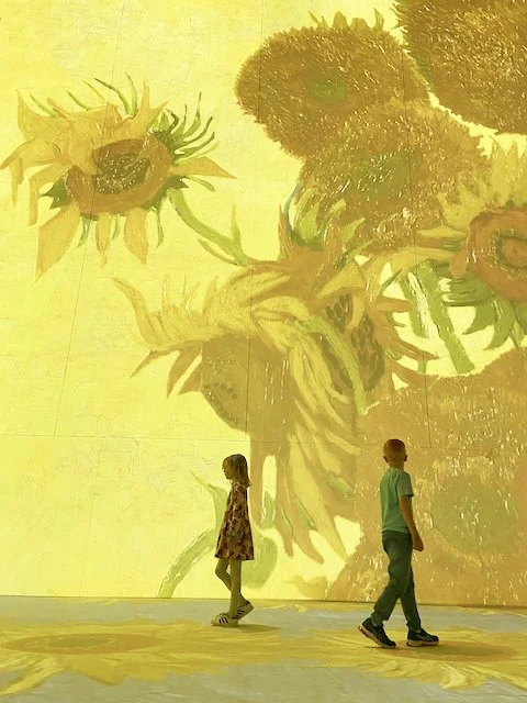 The LUME Melbourne with Kids - MCEC - Melbourne - Review