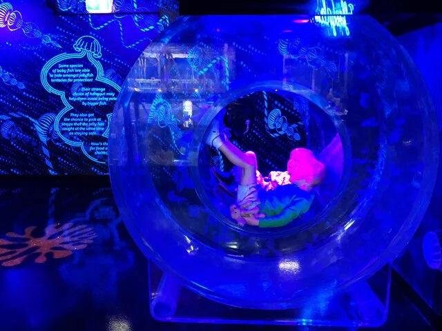 Sea Life Melbourne Aquarium