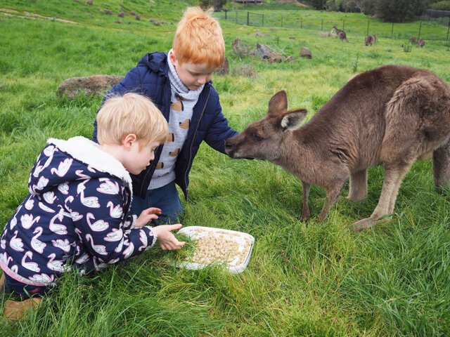 Werribee Zoo