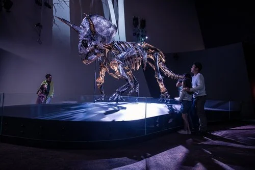 Melbourne Museum