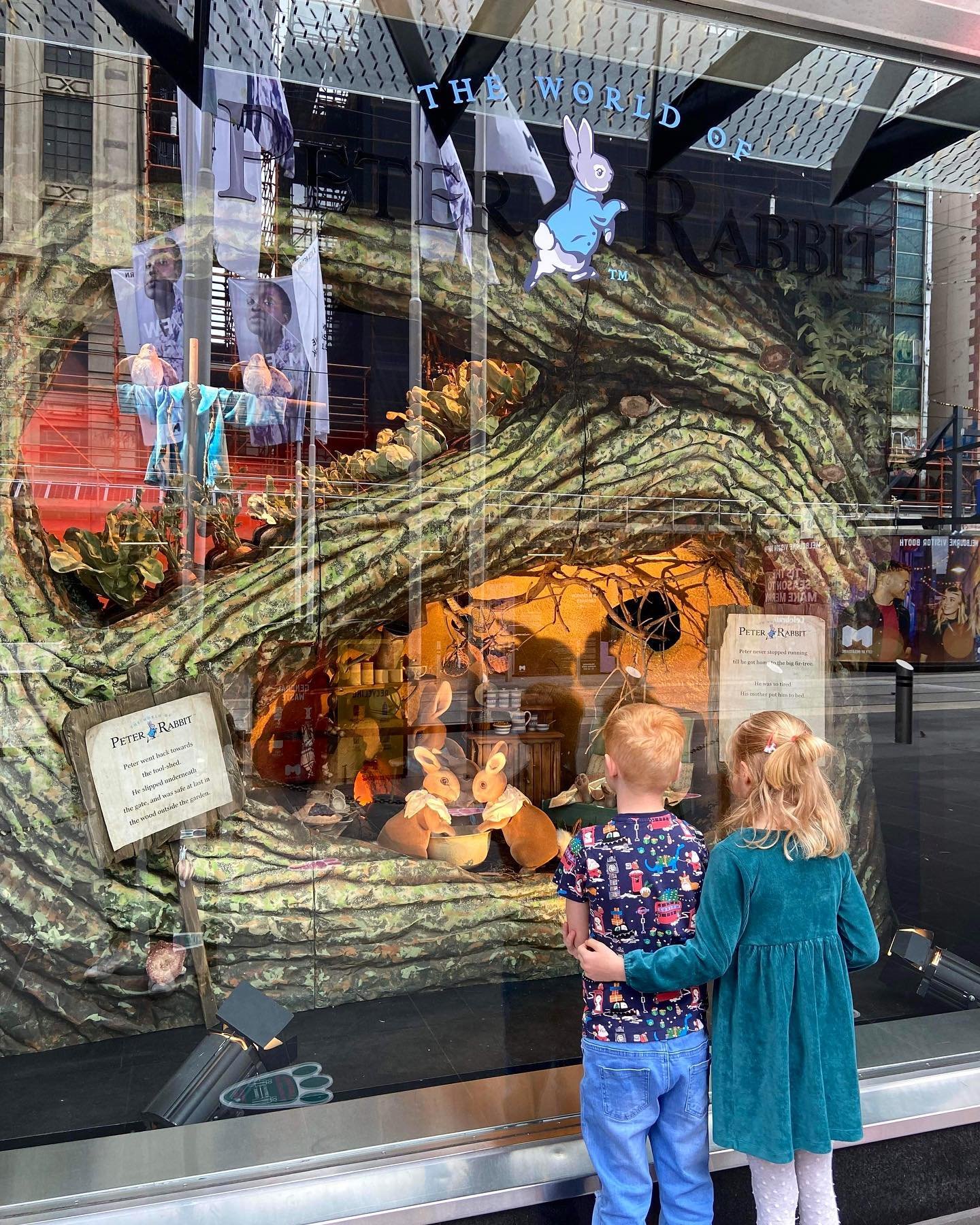 Myer Christmas Windows