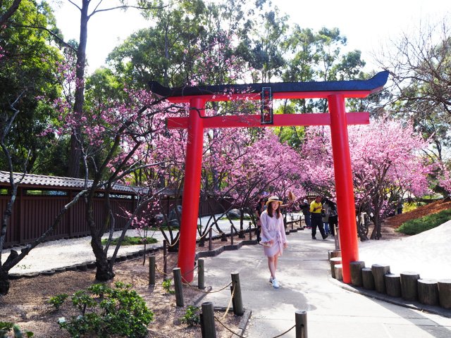 Auburn Japanese Garden