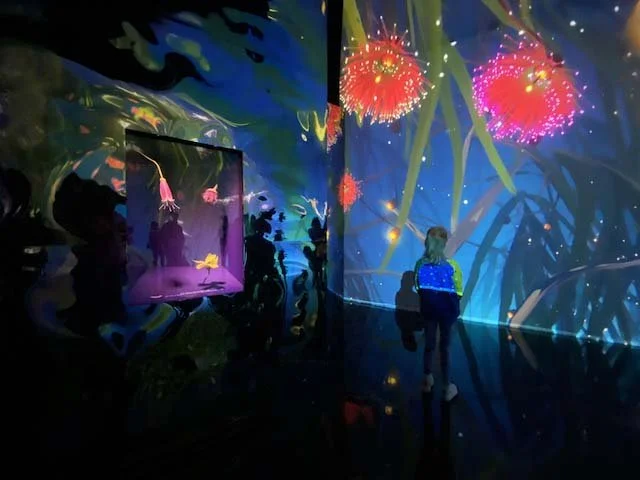 Tyama: A Multisensory Experience of Nature at Melbourne Museum