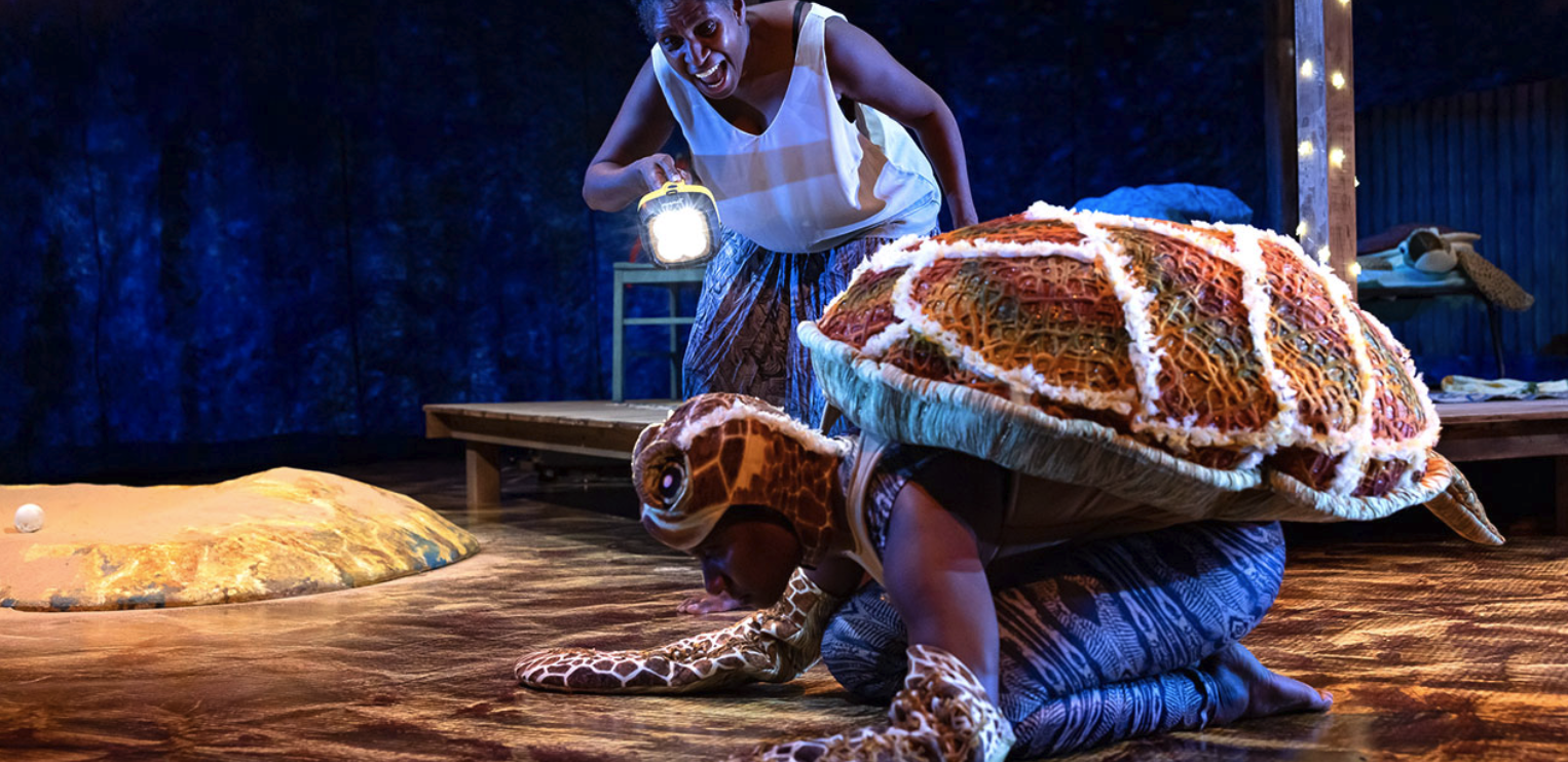 Waru Journey of the Small Turtle - The Pavilion Performing Arts Centre