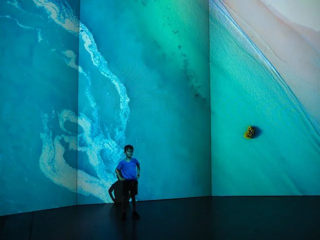 Australian Geographic: Our Country Immersive Experience in Sydney