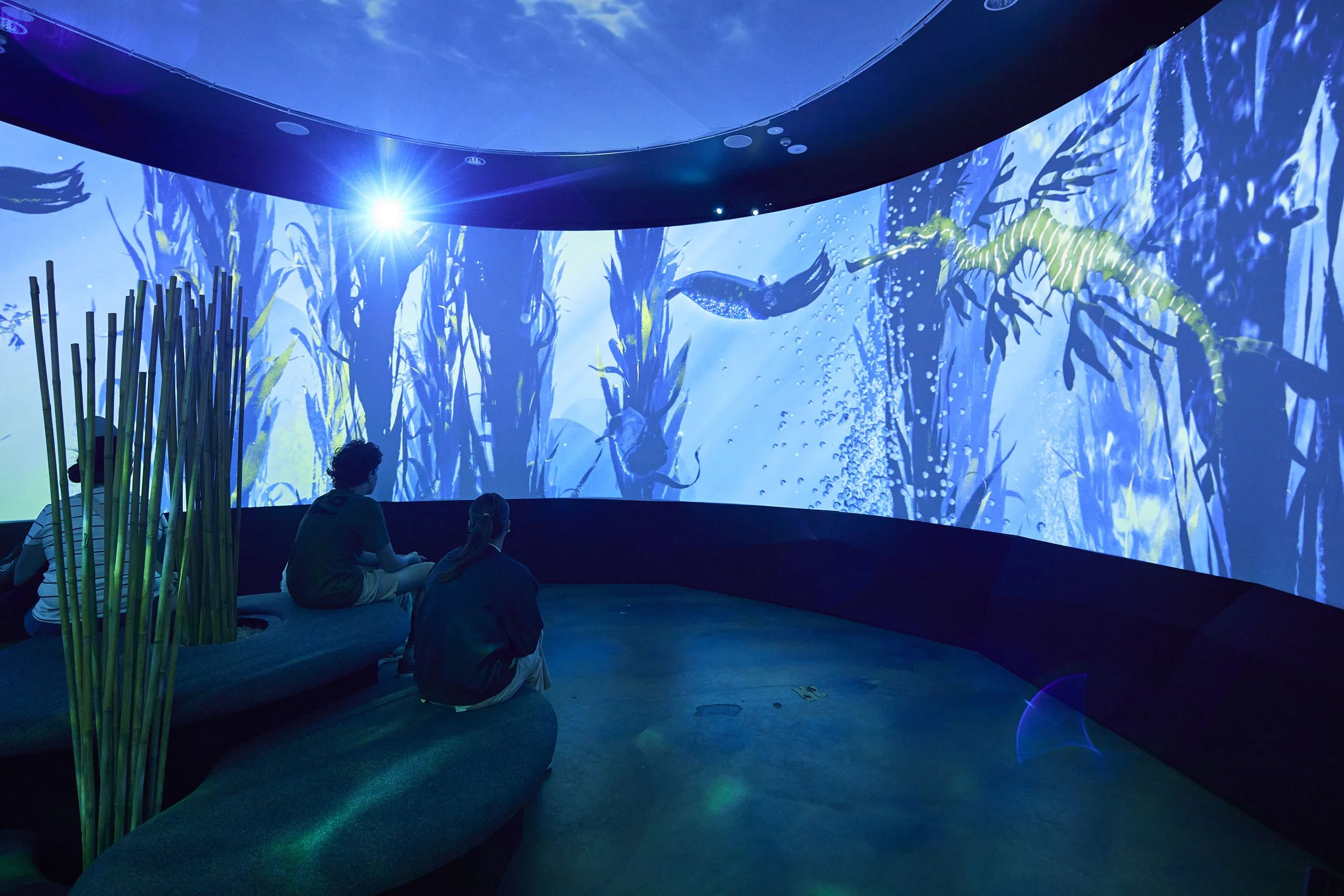 Submerged Immersive Experience at SEA LIFE Melbourne Aquarium