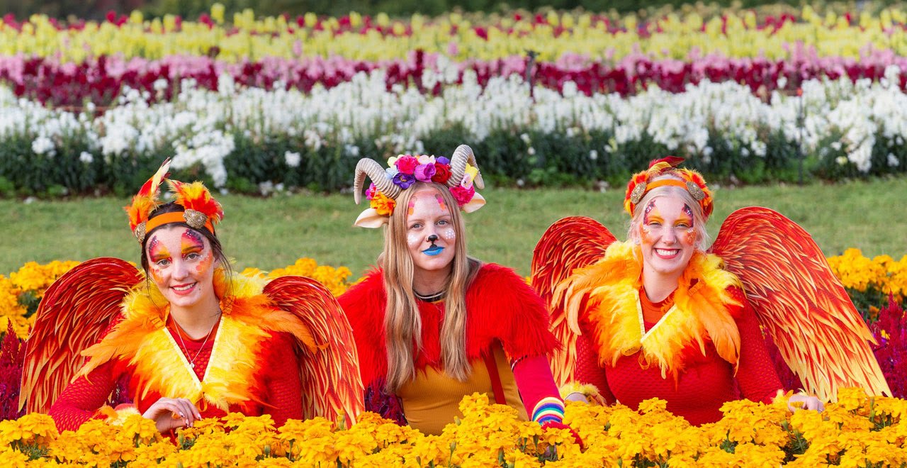 KaBloom Festival of Flowers 2023