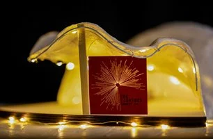 Top Designs 2023 at Melbourne Museum