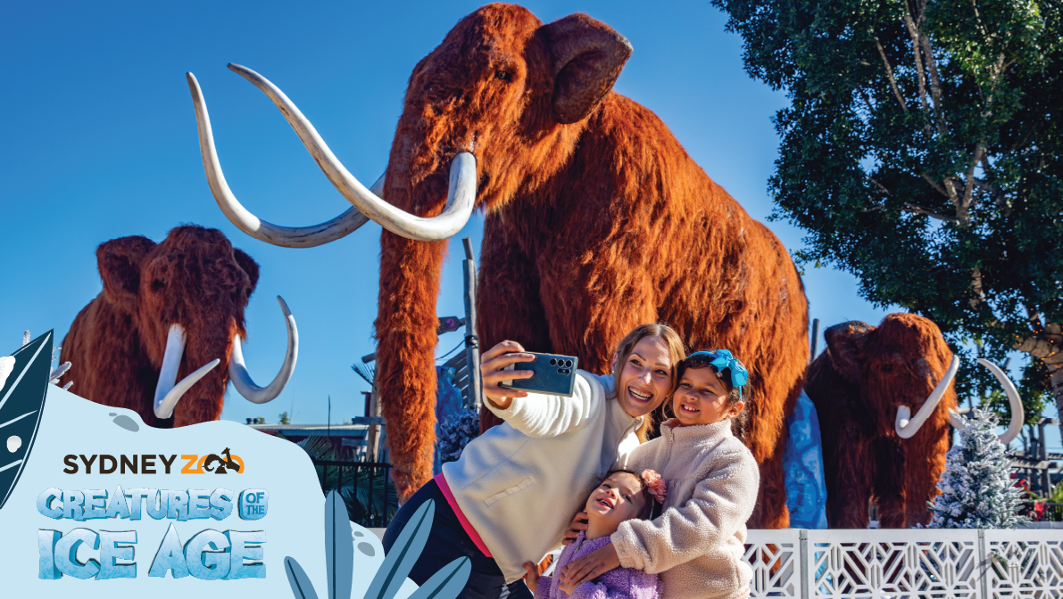 Creatures of the Ice Age are back… and bigger than ever!