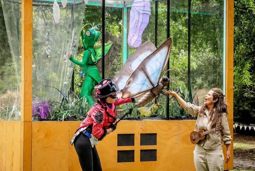 Butterfly House at Fed Square (Free)