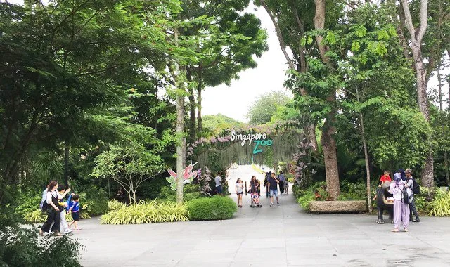 Singapore Zoo - Singapore - Review