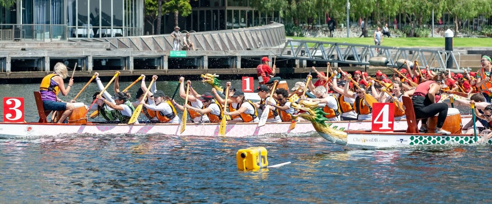 Lunar New Year 2024 Dragon Boat Festival