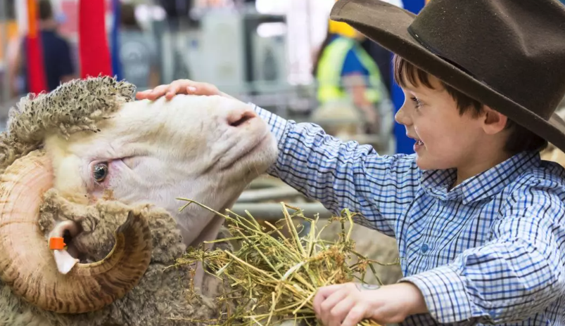Sydney Royal Easter Show at Sydney Olympic Park