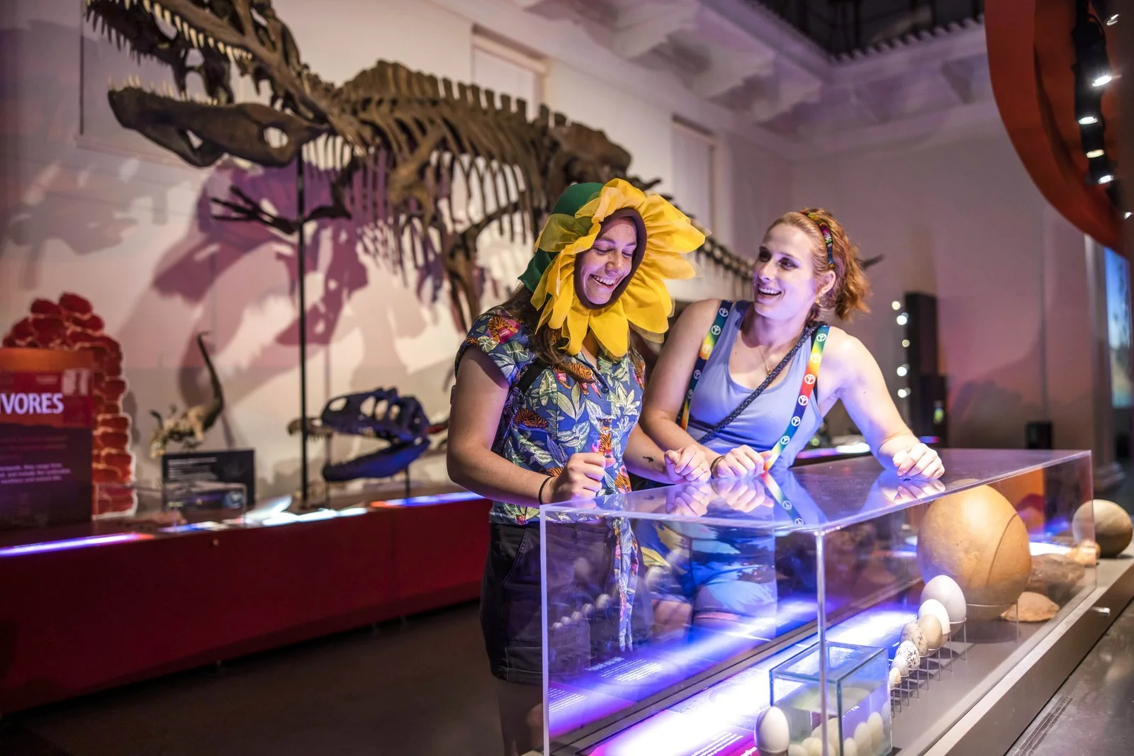 Night Owls: An autism and sensory-friendly night out for adults at the Australian Museum