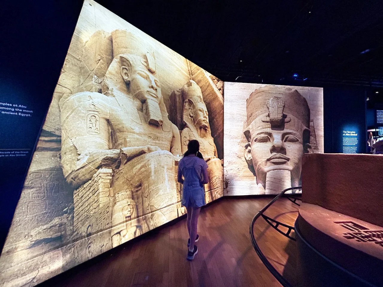 Ramses &amp; the Gold of the Pharaohs at the Australian Museum - Review