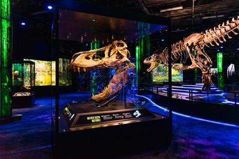 Victoria the T. rex is coming to Melbourne Museum!