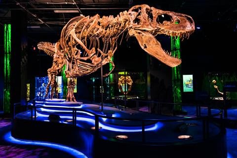 Victoria the T. rex is coming to Melbourne Museum!