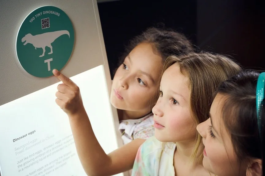 100 Tiny Dinos at Melbourne Museum