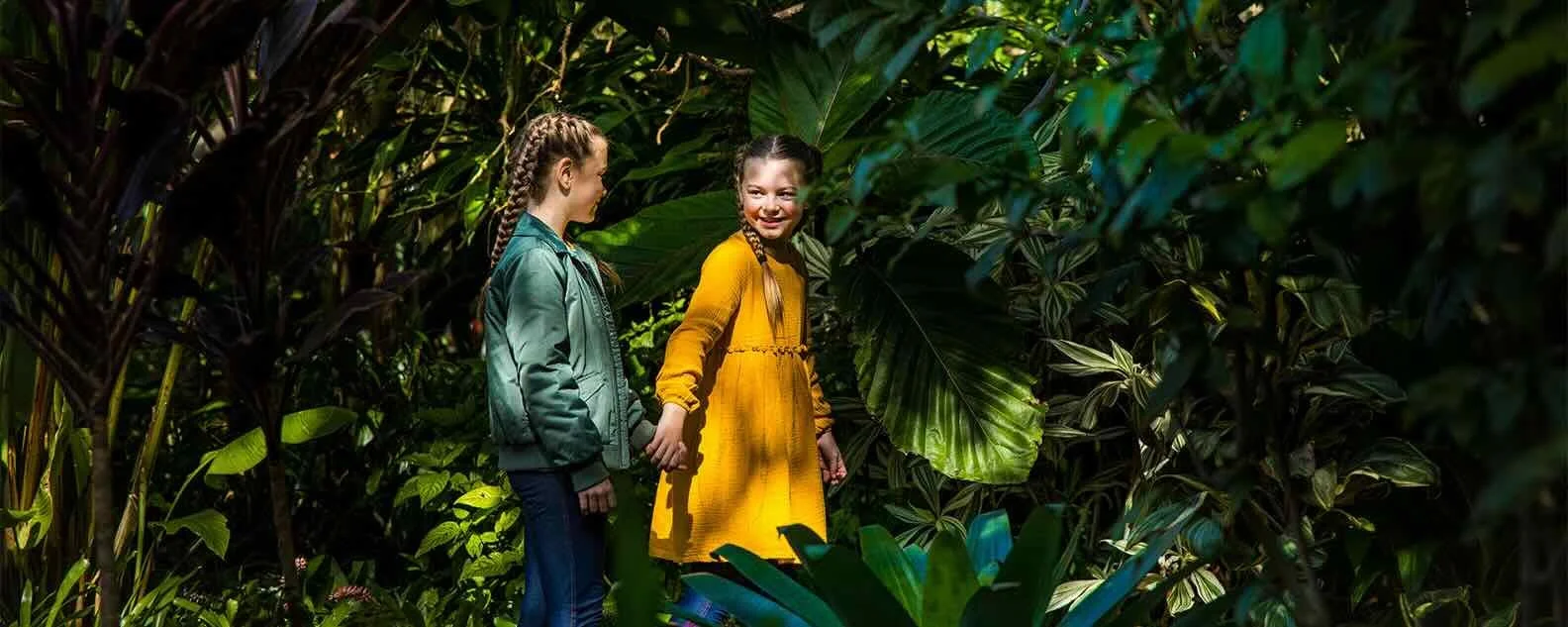 Lost in the Garden at the Royal Botanic Garden Sydney