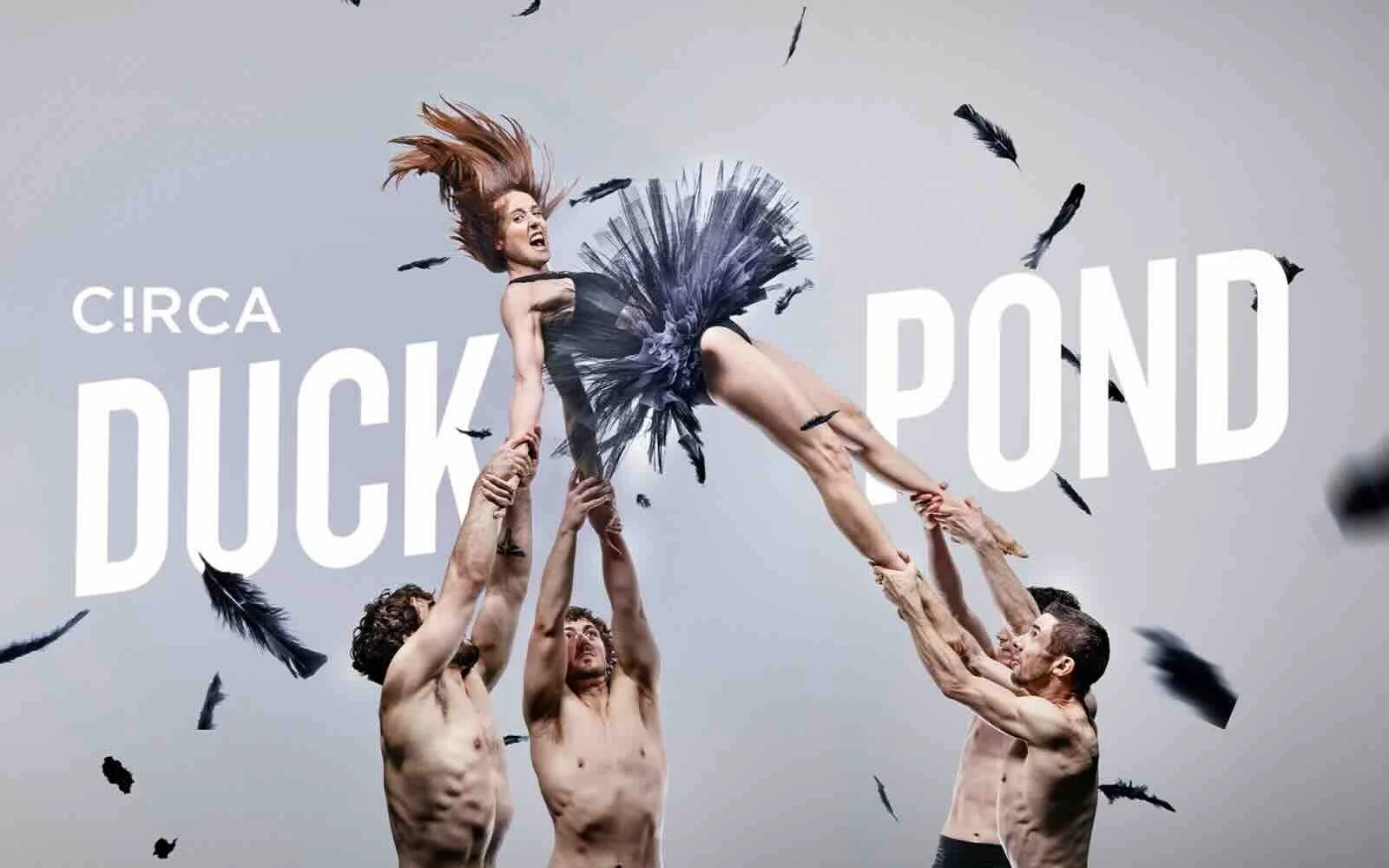 Duck Pond by Circa at the Sydney Coliseum Theatre