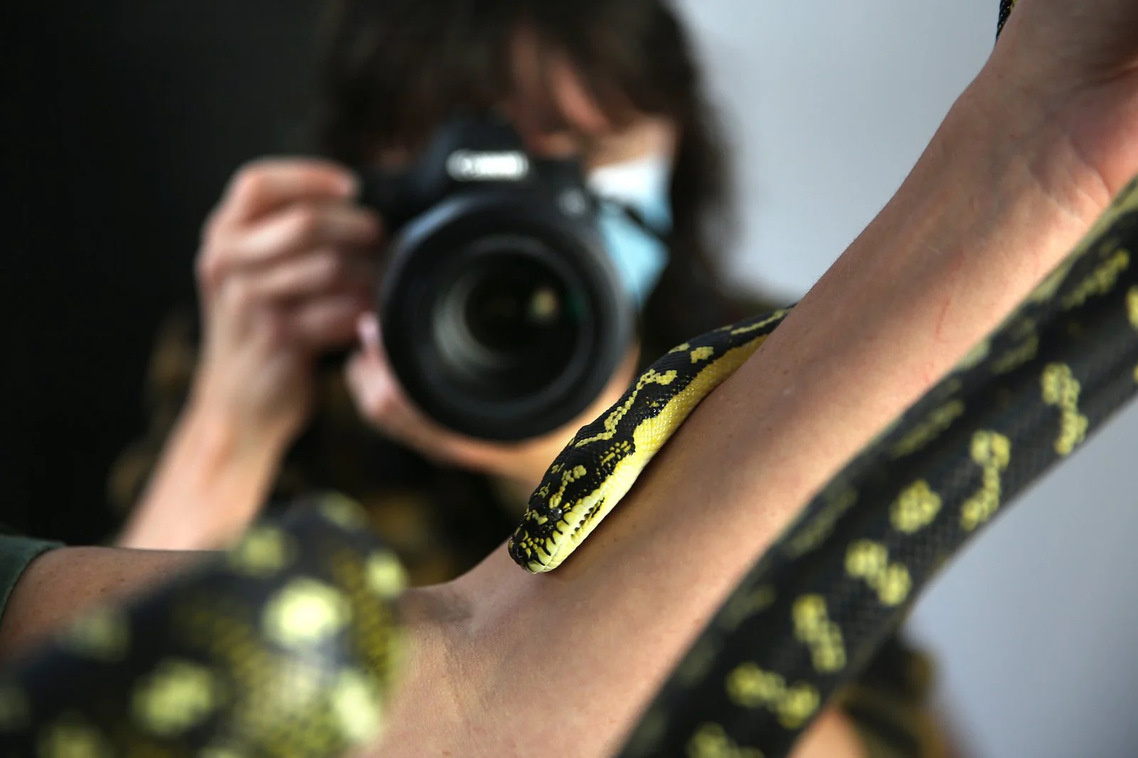 Digital Wildlife Photography Workshop (Intermediate) at the Australian Museum