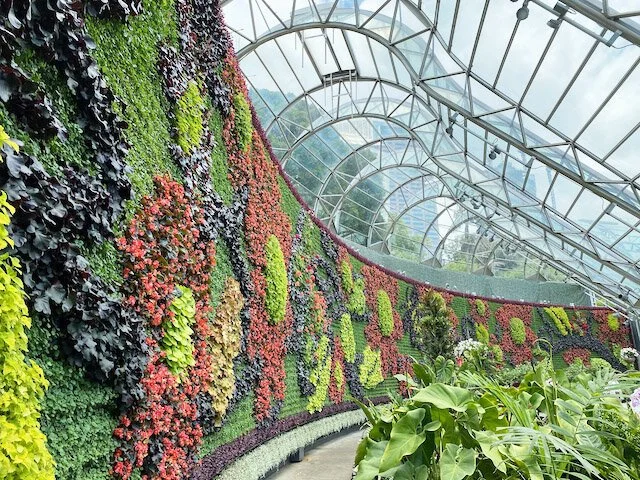 inBloom at The Calyx - Royal Botanic Gardens Sydney - Review