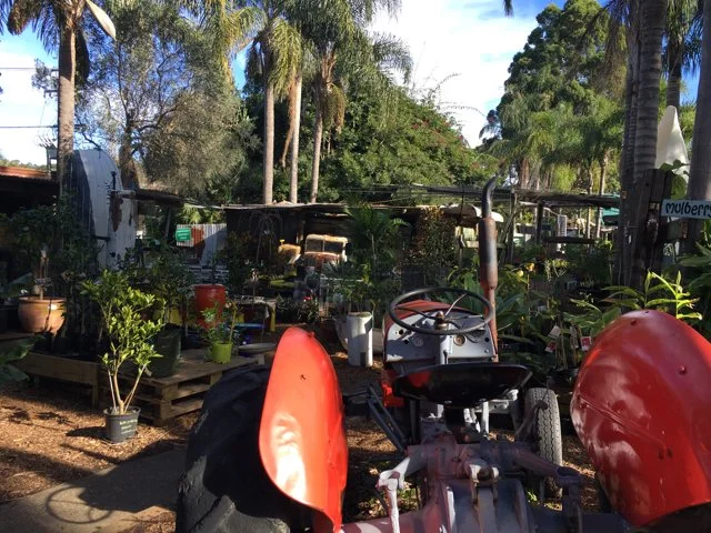 New Leaf Nursery - Ingleside - Sydney - Review