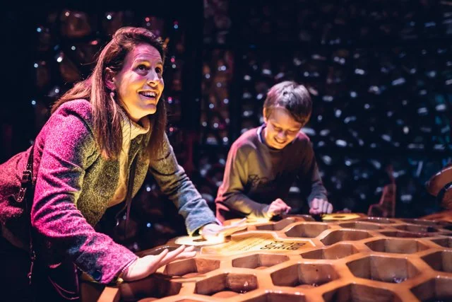 Bug Lab: Little Bugs, Super Powers at Melbourne Museum - Info &amp; Giveaway