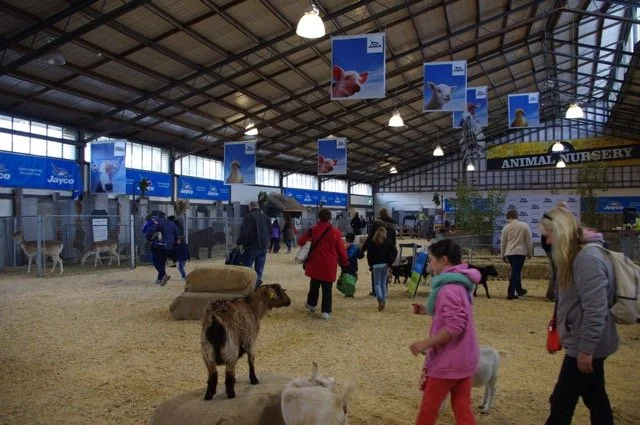 Royal Melbourne Show for under 5s