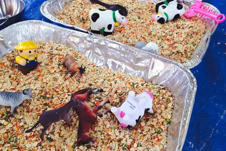 Farm Theme Session at Messy Me