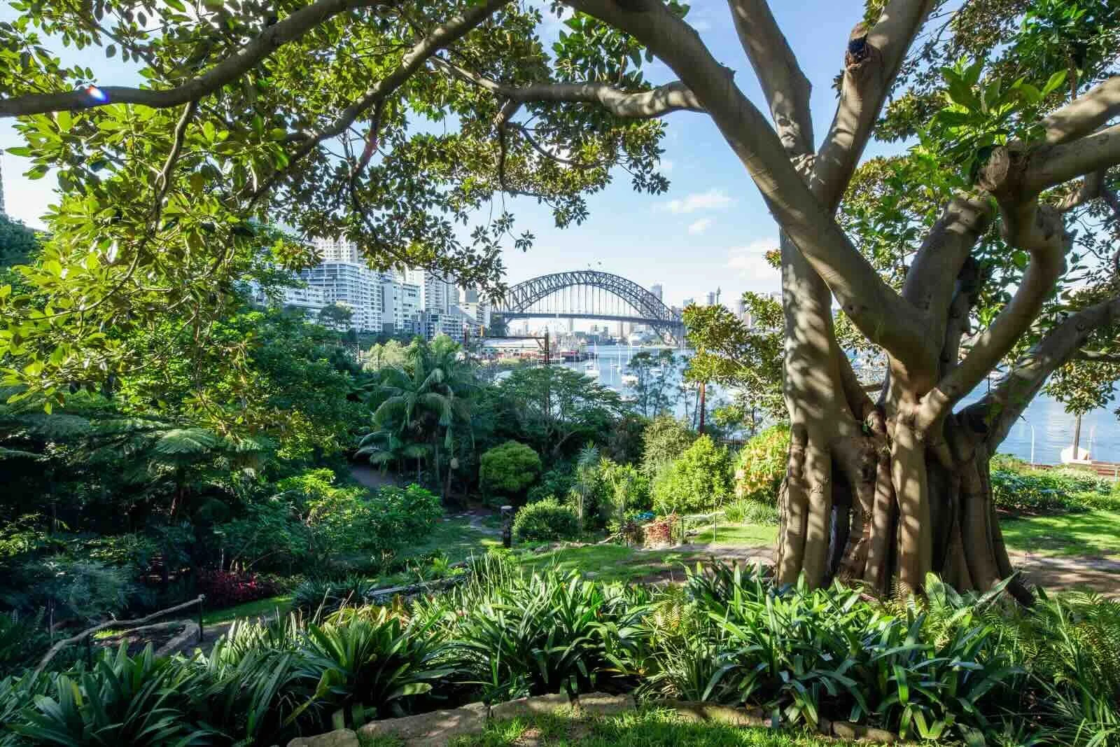 Wendy Whiteley’s Secret Garden Tours at Clark Park