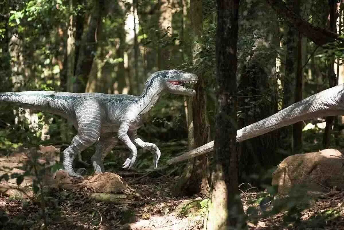 Dinosaur Valley is back at Scenic World!