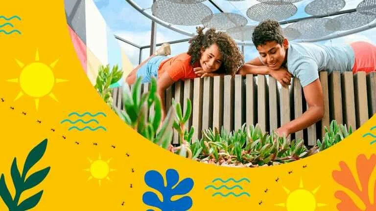 Summer School Holidays Melbourne Museum