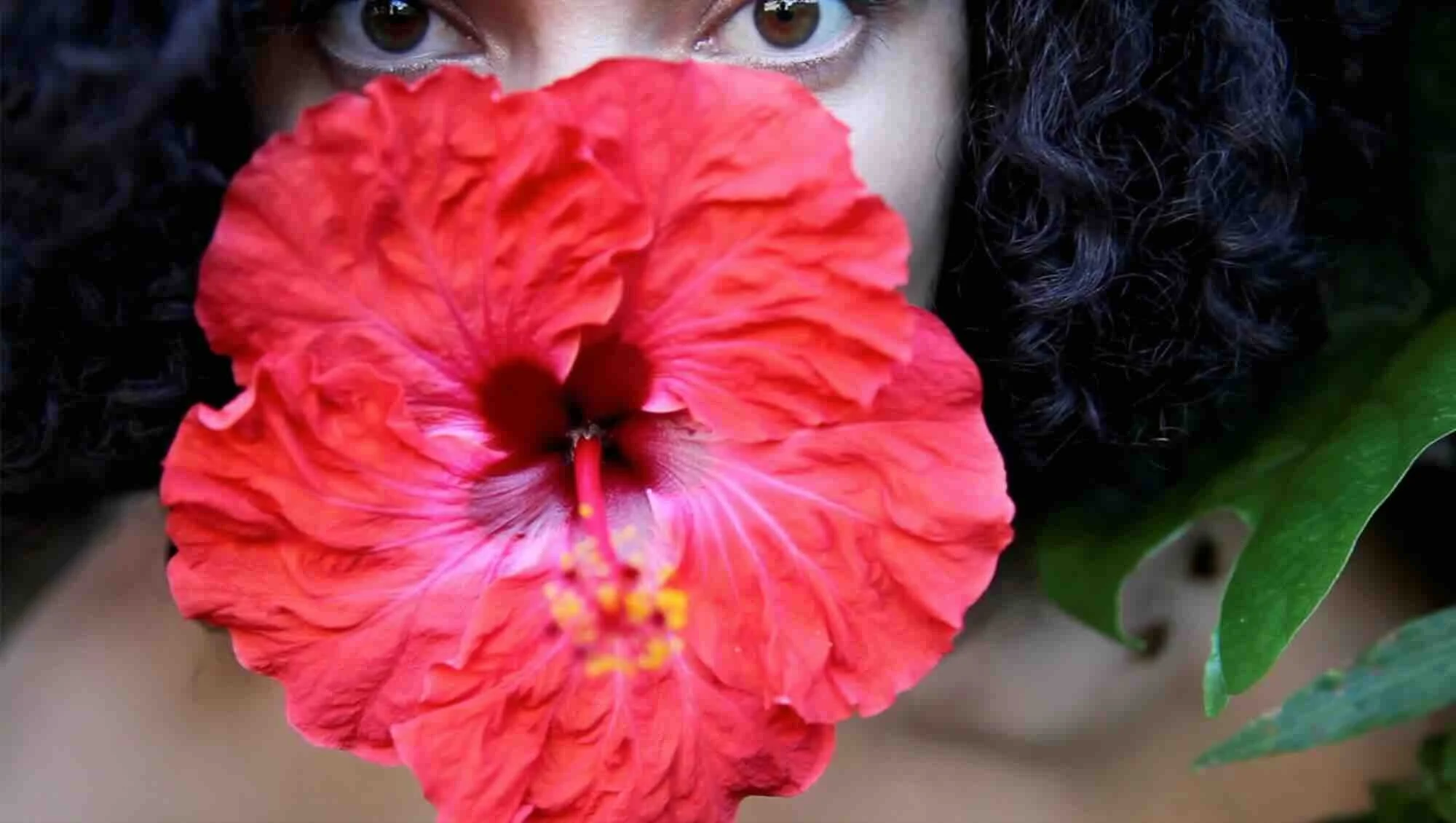 High Colour (Free)